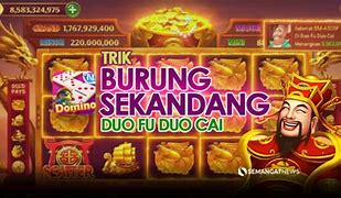 Permainan Baru Slot Domino Live Indonesia Hari Ini Terbaru