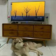 Rak Tv Kayu Jati Minimalis Terbaru